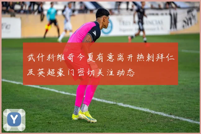 武什科维奇今夏有意离开热刺拜仁及英超豪门密切关注动态